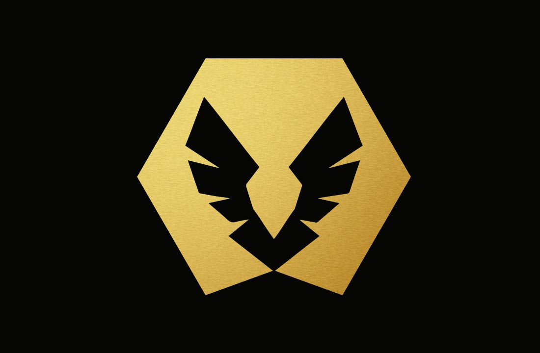 logo ontwerp voor schilder Zidiz te Halle / Brussel