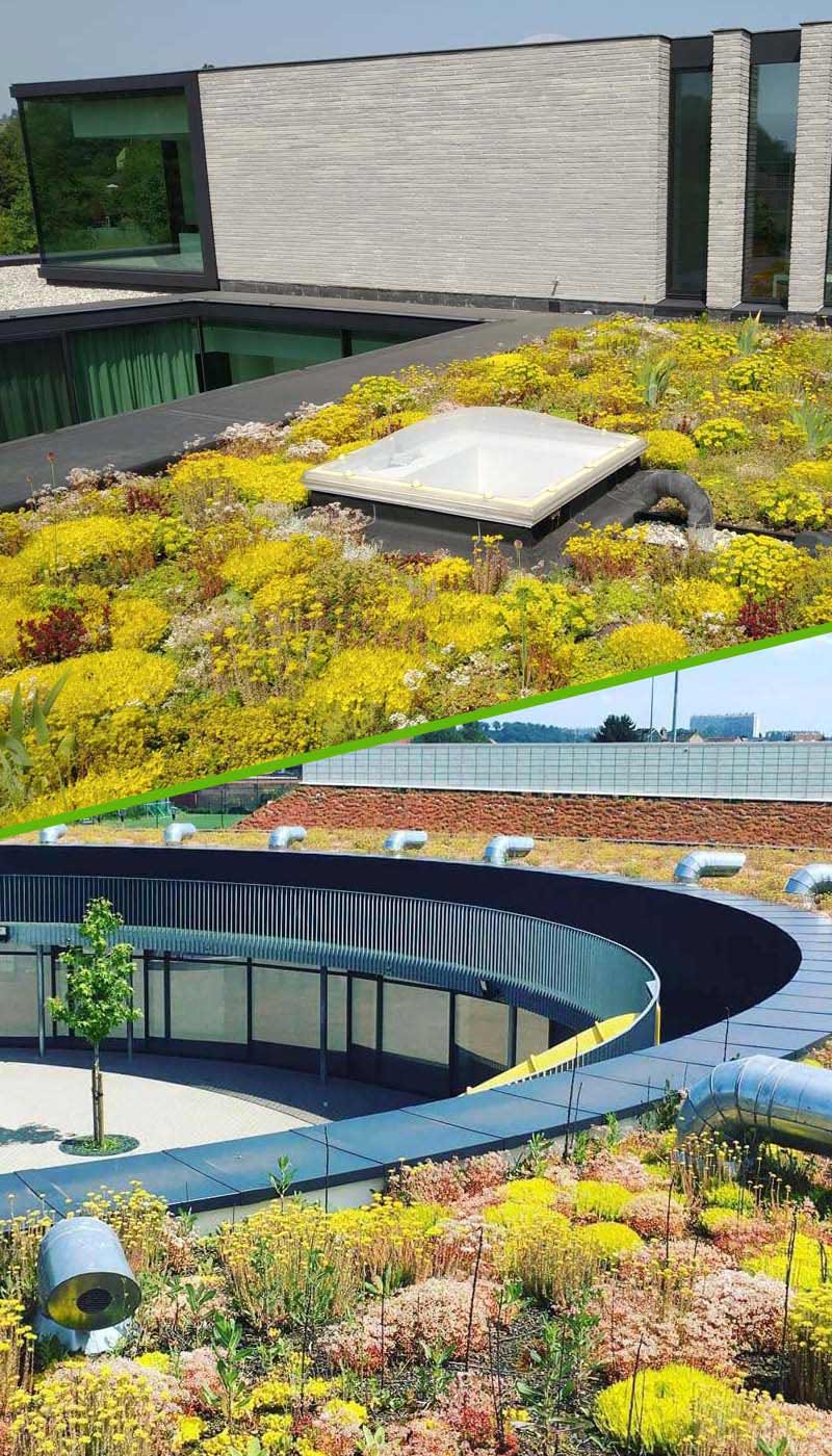 webdesign en SEO optimalisatie voor Vice Verda