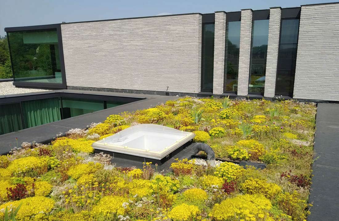 webdesign voor Vice Verda groendak specialist te Aalter