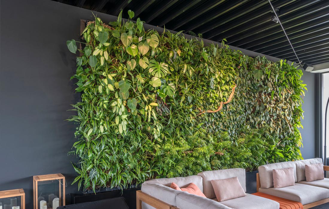 Logo en website ontwerp voor PlantDesign groengevels