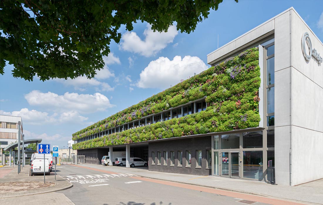 Logo en website ontwerp voor PlantDesign groengevels